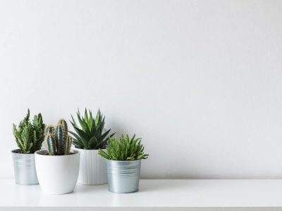 5 ways to make your practice more sustainable